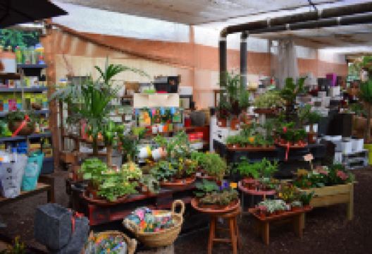 Centro de Jardinería Martorell购物图片