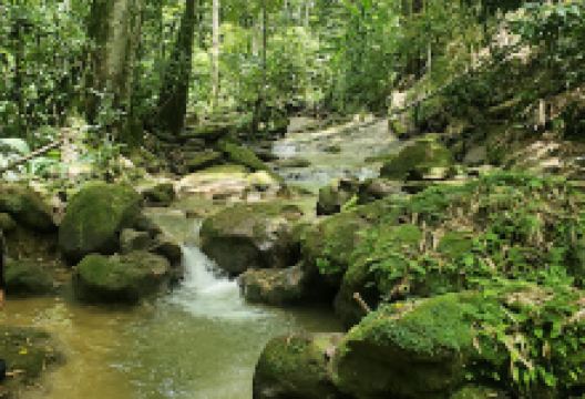 Carmelita Waterfalls景点图片
