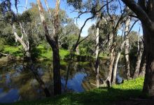 Campaspe River Reserve景点图片
