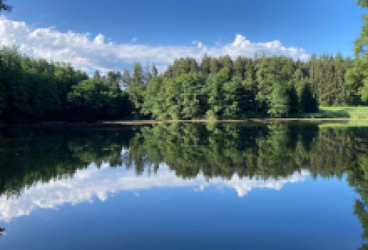 Holzweiher景点图片