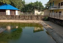 Crocodile Breeding Center景点图片