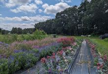 Applefield Farm Stand景点图片