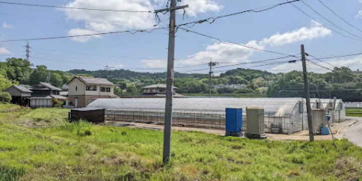 きびファーム美果美香