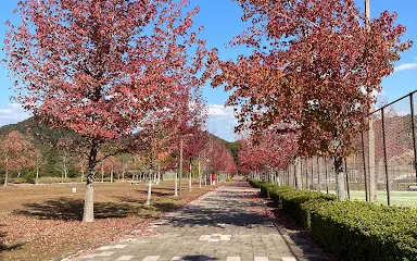 瀨野川公園