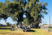 - Avondale Playground景点图片