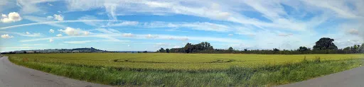 Stratford Agri Park