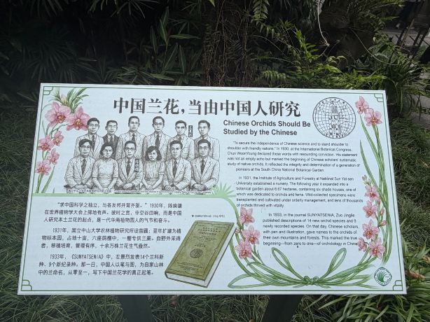 华南植物园景点图片 7