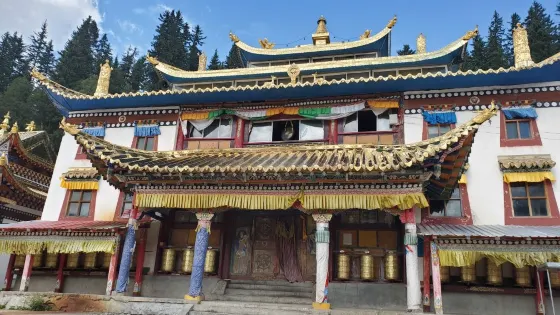 江達金寺