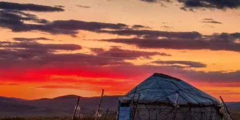 舒服果園生態旅遊景點（新疆正心台文化文化傳媒有限公司）