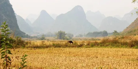 駱越古道風景區
