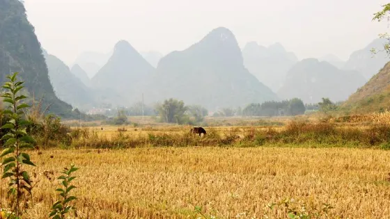 駱越古道風景區