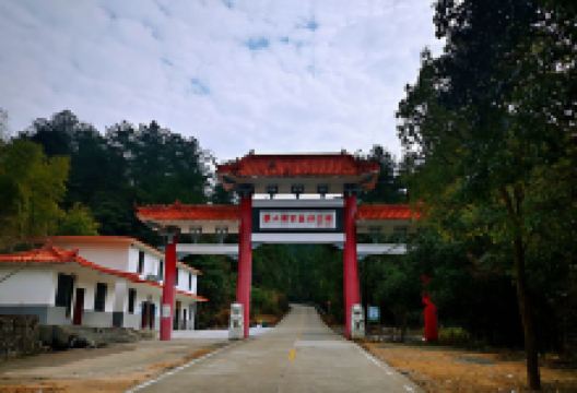 湖南莽山国家级自然保护区-崖子石景区景点图片