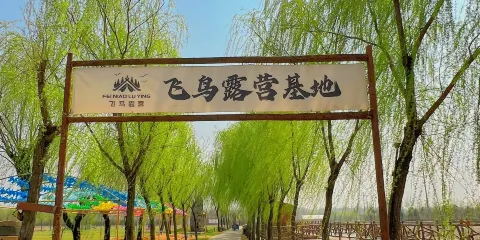 臨沂市·飛鳥露營基地