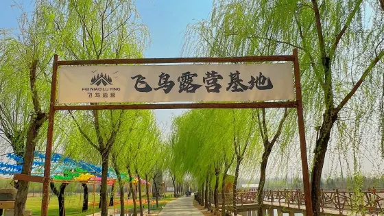 臨沂市·飛鳥露營基地