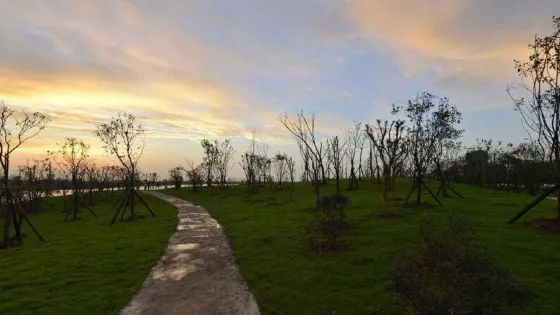 浙江省龍淵森林公園