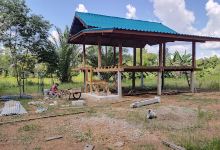 Wat Pa Ban Lao Mak Chan景点图片
