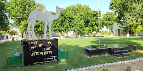 National Research Centre on Camel