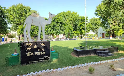 National Research Centre on Camel