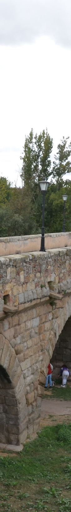 罗马古桥-萨拉曼卡