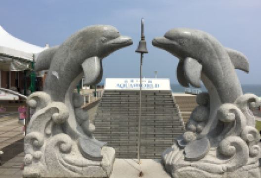 茨城县大洗水族馆景点图片
