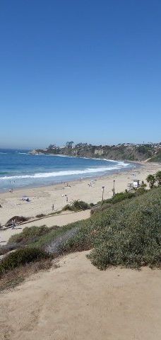 Salt Creek Beach-达纳点