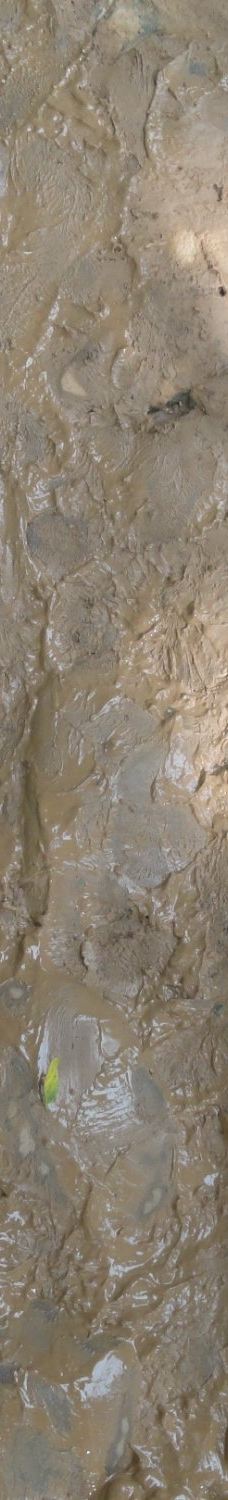 Barfusspfad Bad Sobernheim-索伯恩海姆