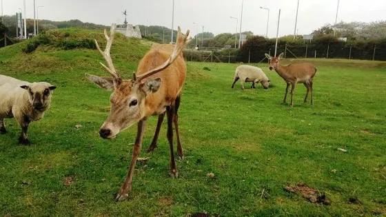 Farmer Parrs Animal World