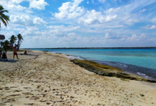 Coco Beach景点图片