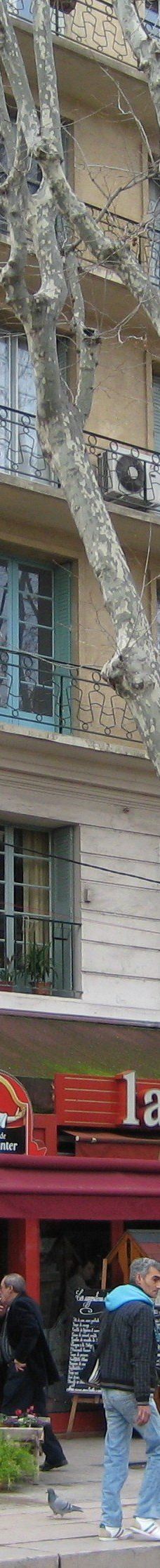 共和大道-阿维尼翁