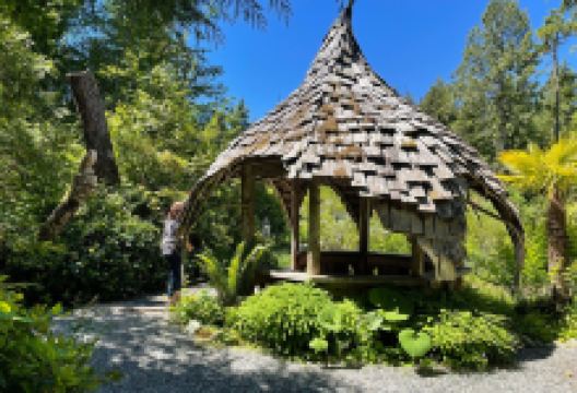 Tofino Botanical Gardens景点图片