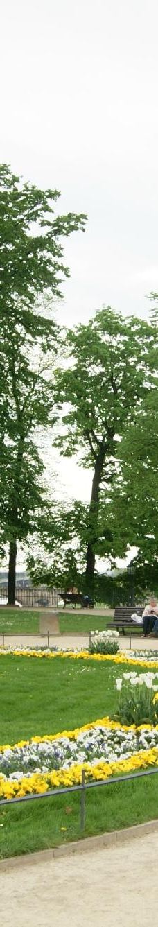 布吕尔平台-德累斯顿