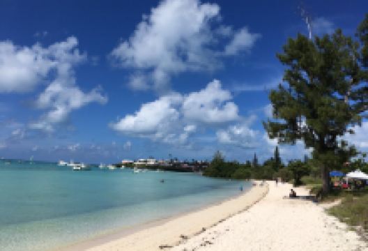 Somerset Long Bay Beach景点图片