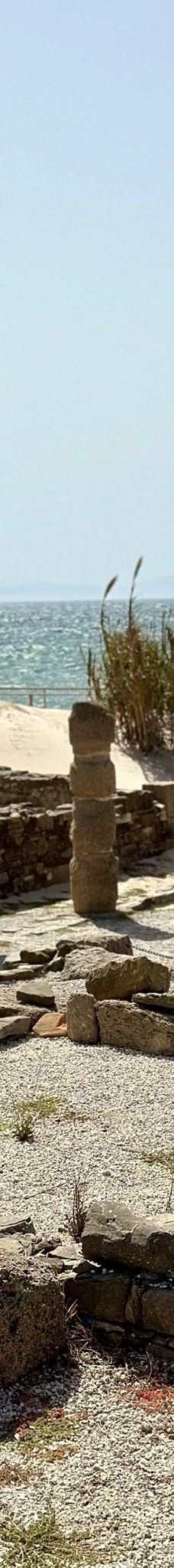 巴埃洛克劳狄亚-塔里法