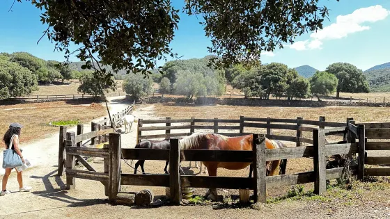 Parc Naturel d'Olva