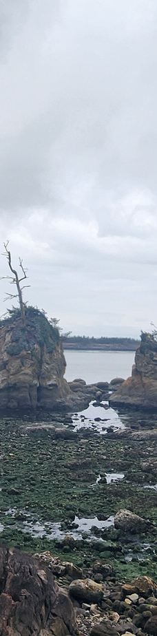 Oregon Coast Scenic Railroad-加里波第