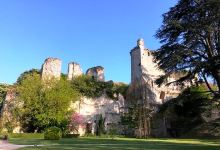 Castle de Vendôme景点图片