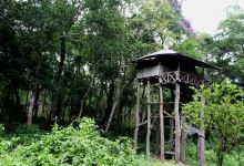 Chilapata Forest景点图片