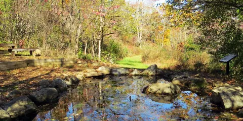 Scherman Hoffman Wildlife Sanctuary