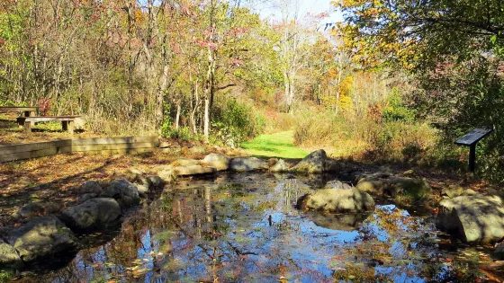 Scherman Hoffman Wildlife Sanctuary