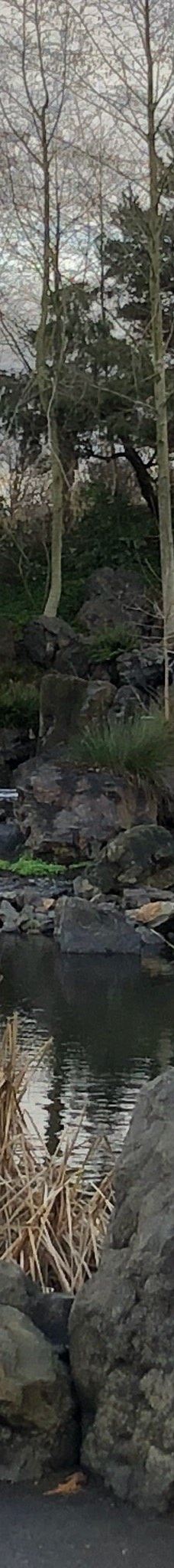 Talking Water Gardens-奥尔巴尼