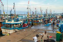 Hikkaduwa Harbour Complex景点图片