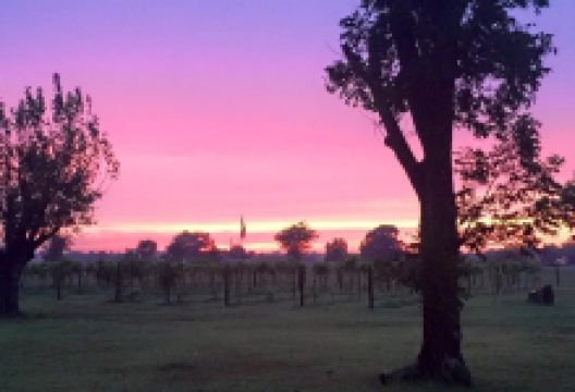 Yellow Brick Road Winery & Restaurant景点图片