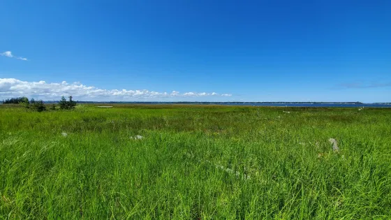 Daly Point Nature Reserve