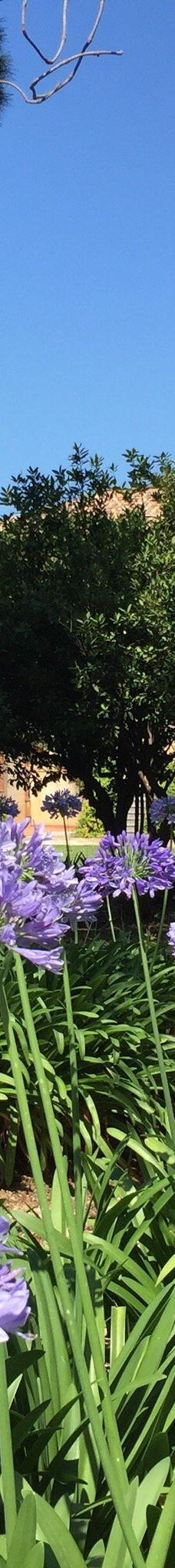 Fondazione Famiglia Piccolo-卡普多兰多