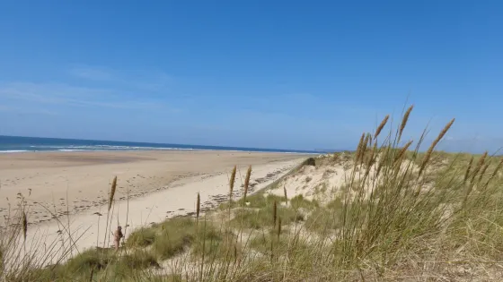 Dunes d'Hattainville