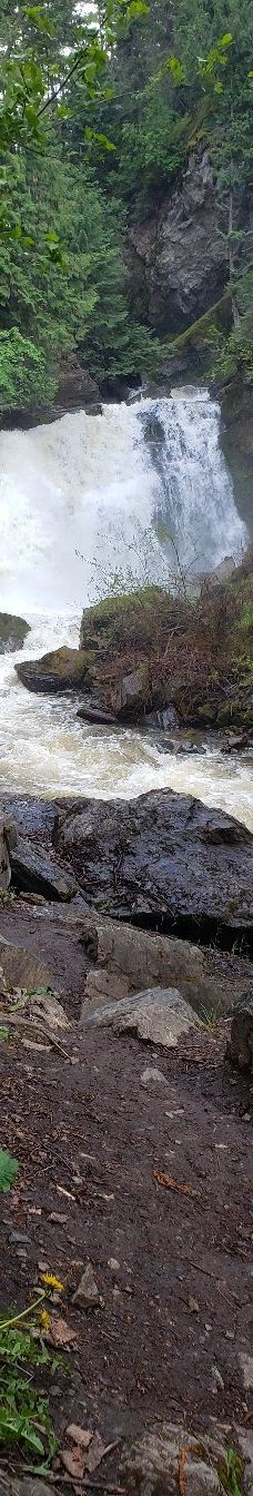 Chase Creek Falls-汤普森-尼古拉