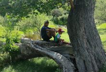 Reserva Municipal Rio de Los Sauces景点图片