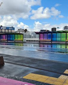 卡朗加黑皮路-奥克兰