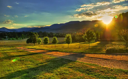 Ringer Reef Winery