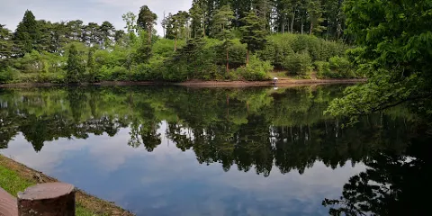 ことおか中央公園「スカルパ」